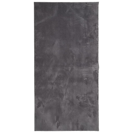 VidaXL tapis huarte poils courts doux lavable 100x200 cm anthracite