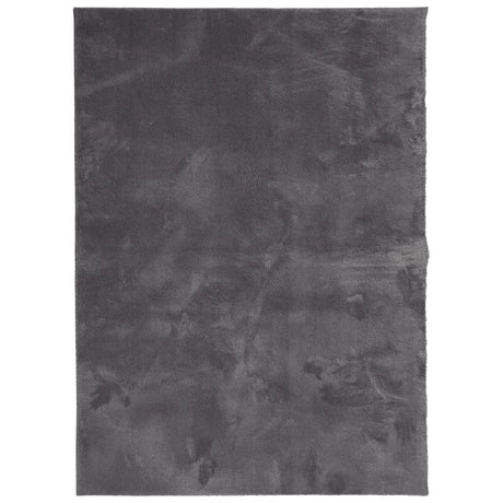 VidaXL tapis huarte poils courts doux lavable 120x170 cm anthracite