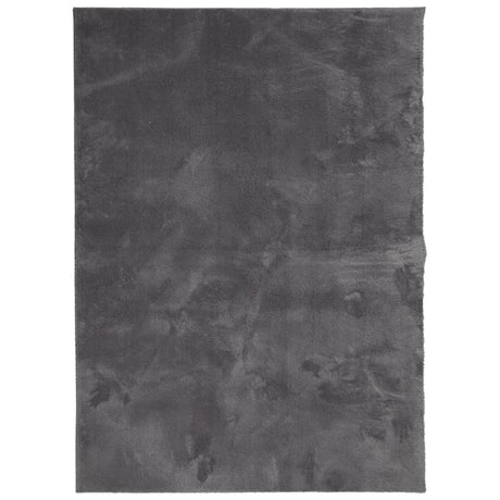 VidaXL tapis huarte poils courts doux lavable 140x200 cm anthracite