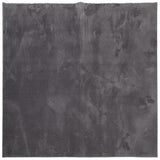 VidaXL tapis huarte poils courts doux lavable 160x160 cm anthracite