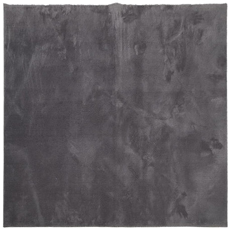 VidaXL tapis huarte poils courts doux lavable 160x160 cm anthracite