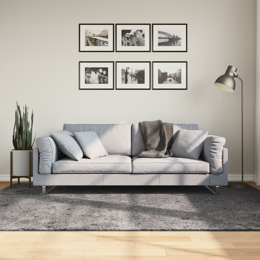 VidaXL tapis huarte poils courts doux lavable 160x230 cm anthracite