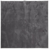 VidaXL tapis huarte poils courts doux lavable 200x200 cm anthracite