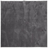 Vidaxl Rug Huarte Low -Pole Soft Washable 200x200 cm Anthracite