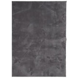 VidaXL tapis huarte poils courts doux lavable 200x280 cm anthracite
