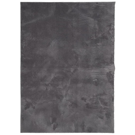 VidaXL tapis huarte poils courts doux lavable 200x280 cm anthracite