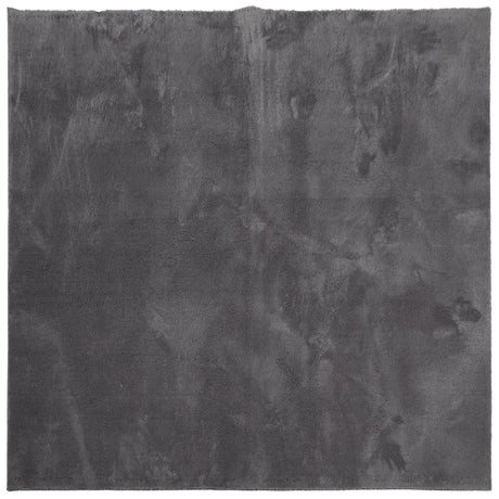 VidaXL tapis huarte poils courts doux lavable 240x240 cm anthracite