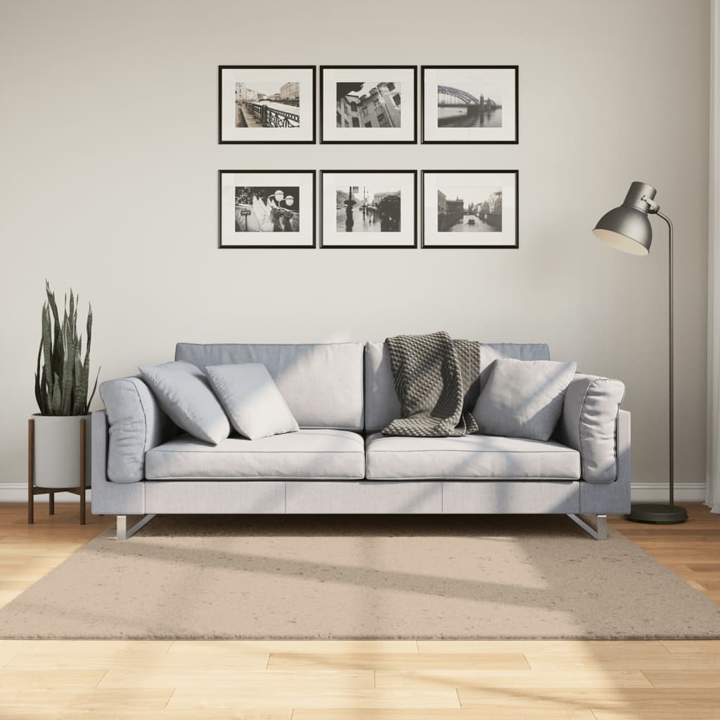 Vidaxx tapis huarte poils courts doux lavable 160x160cm couleur sable
