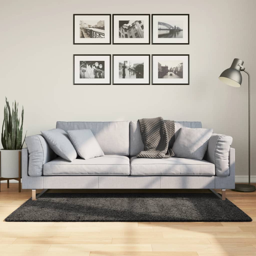 VidaXL tapis pamplona shaggy poils longs moderne 80x150 cm anthracite