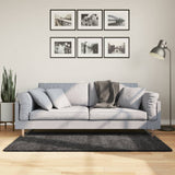 VidaXL tapis pamplona shaggy poils longs 120x170 cm anthracite