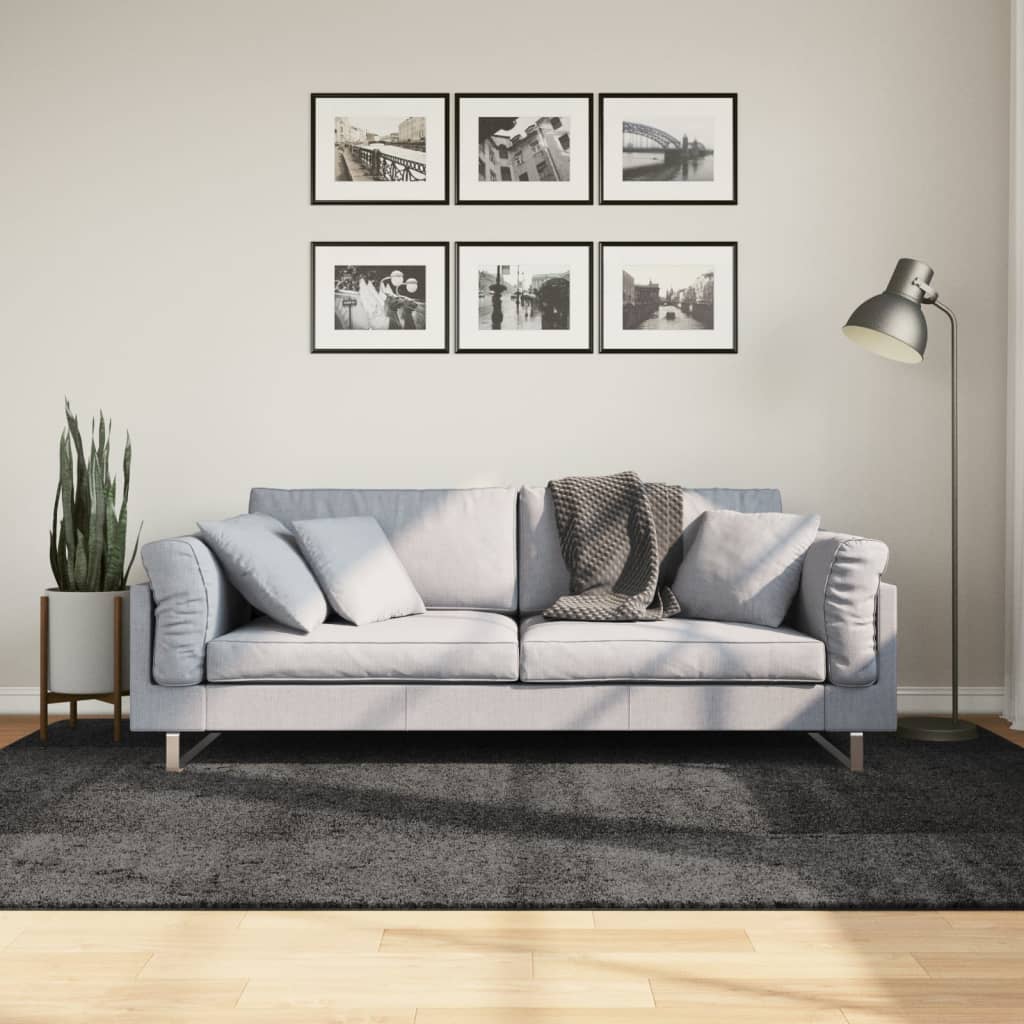 VidaXL tapis pamplona shaggy poils longs 160x230 cm anthracite