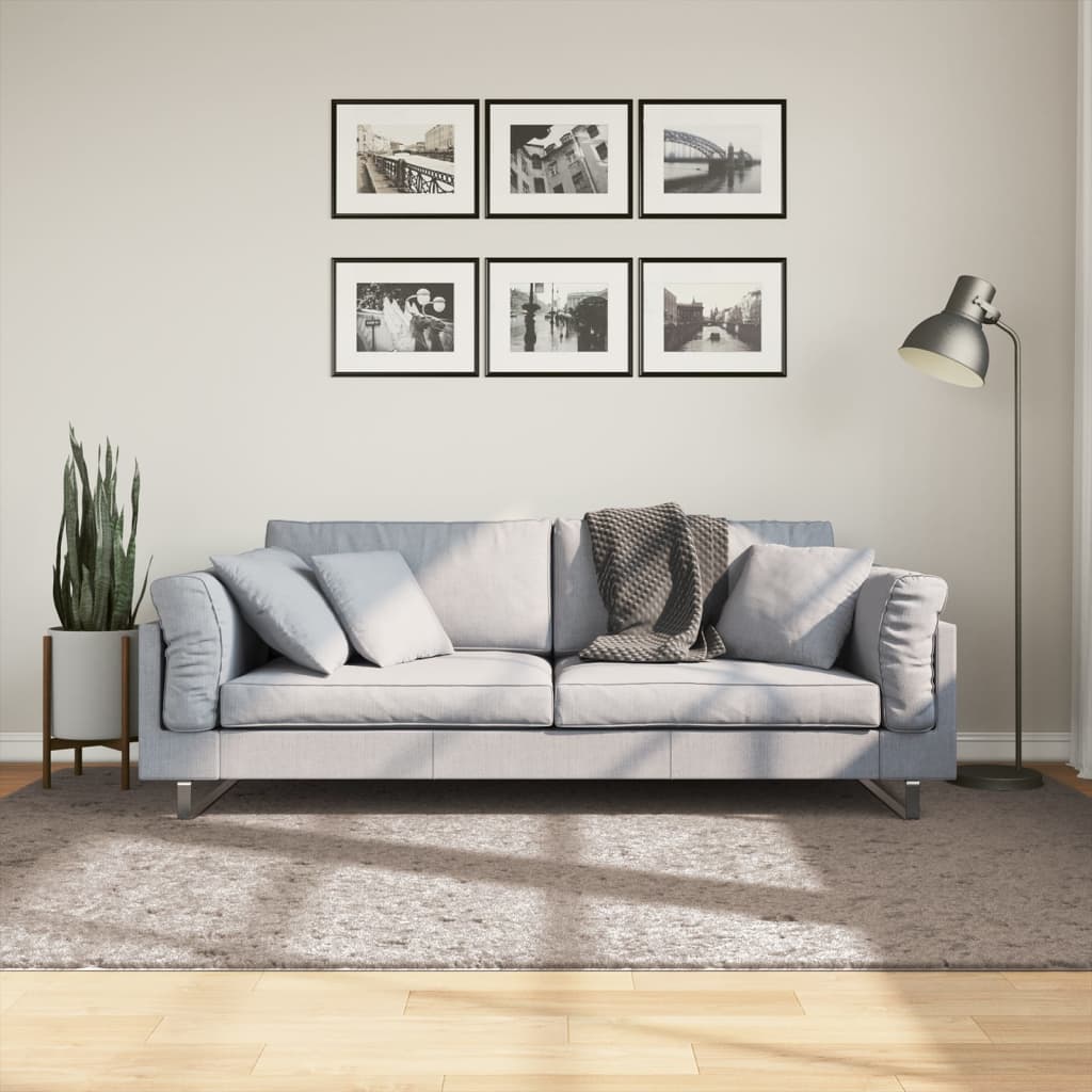 VidaXL tapis pamplona shaggy poils longs moderne 160x230 cm beige