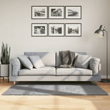 VidaXL tapis pamplona shaggy poils longs moderne 80x150 cm gris