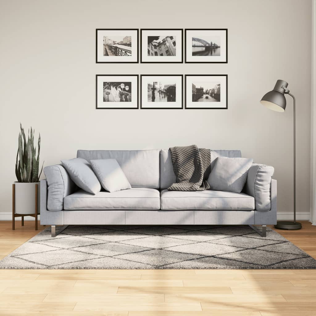 VidaXL tapis pamplona shaggy poils longs 120x170 cm beige anthracite