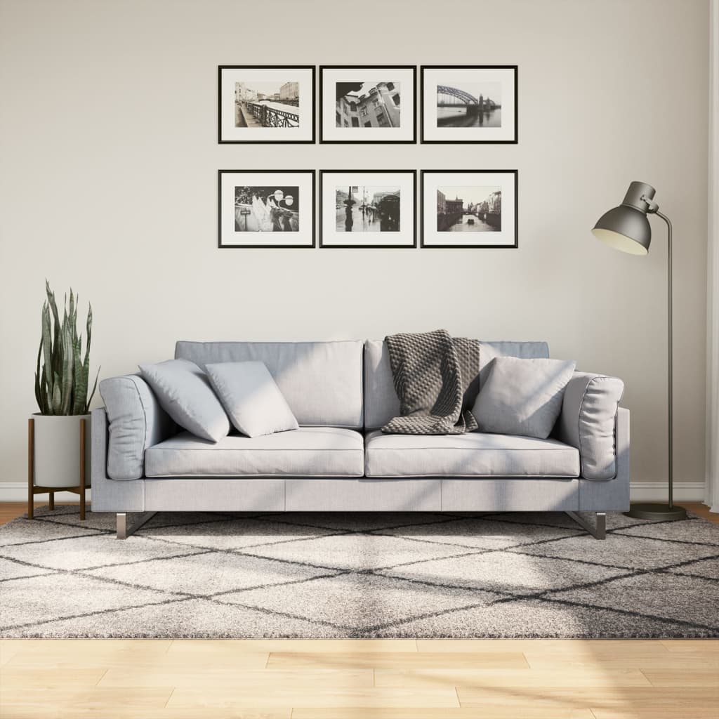 VidaXL tapis pamplona shaggy poils longs 160x230 cm beige anthracite