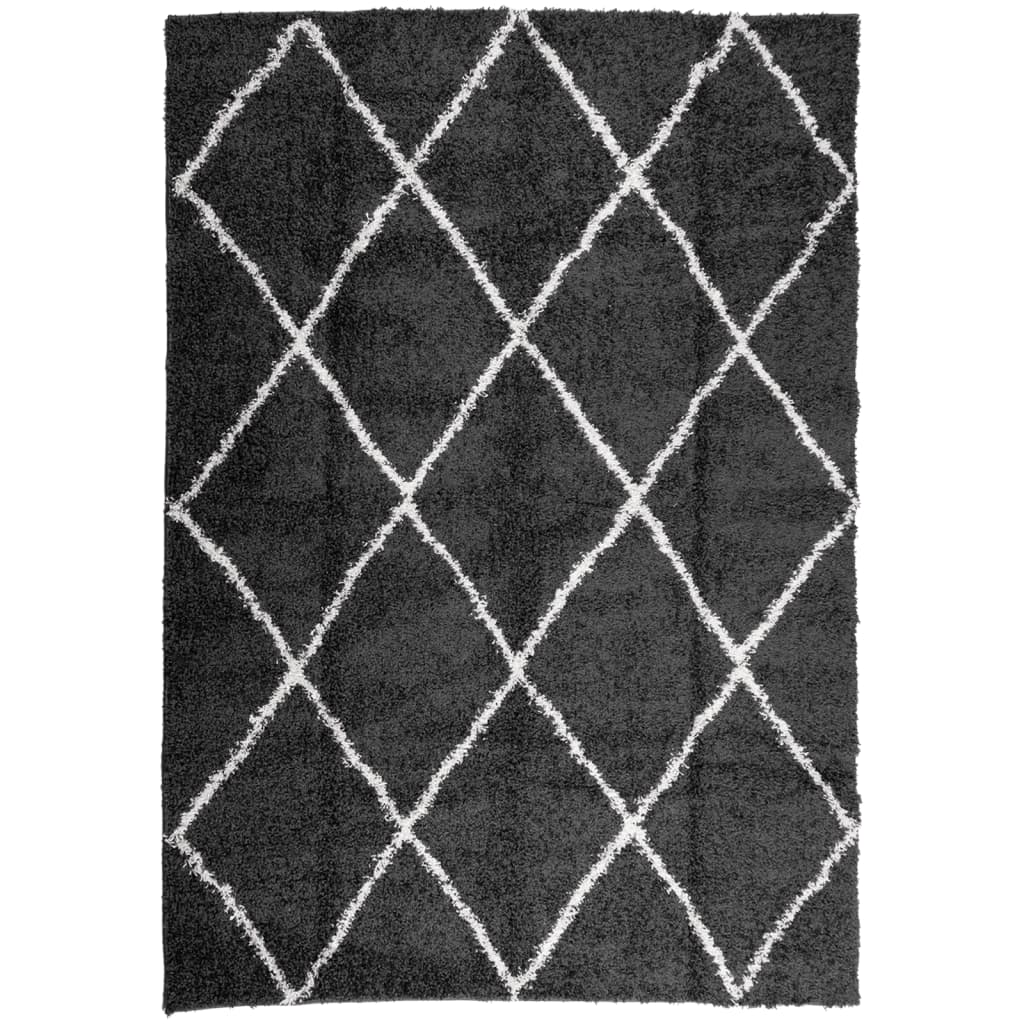Vidaxx tapis shaggy poils longs moderne 120x170 cm noir et crème