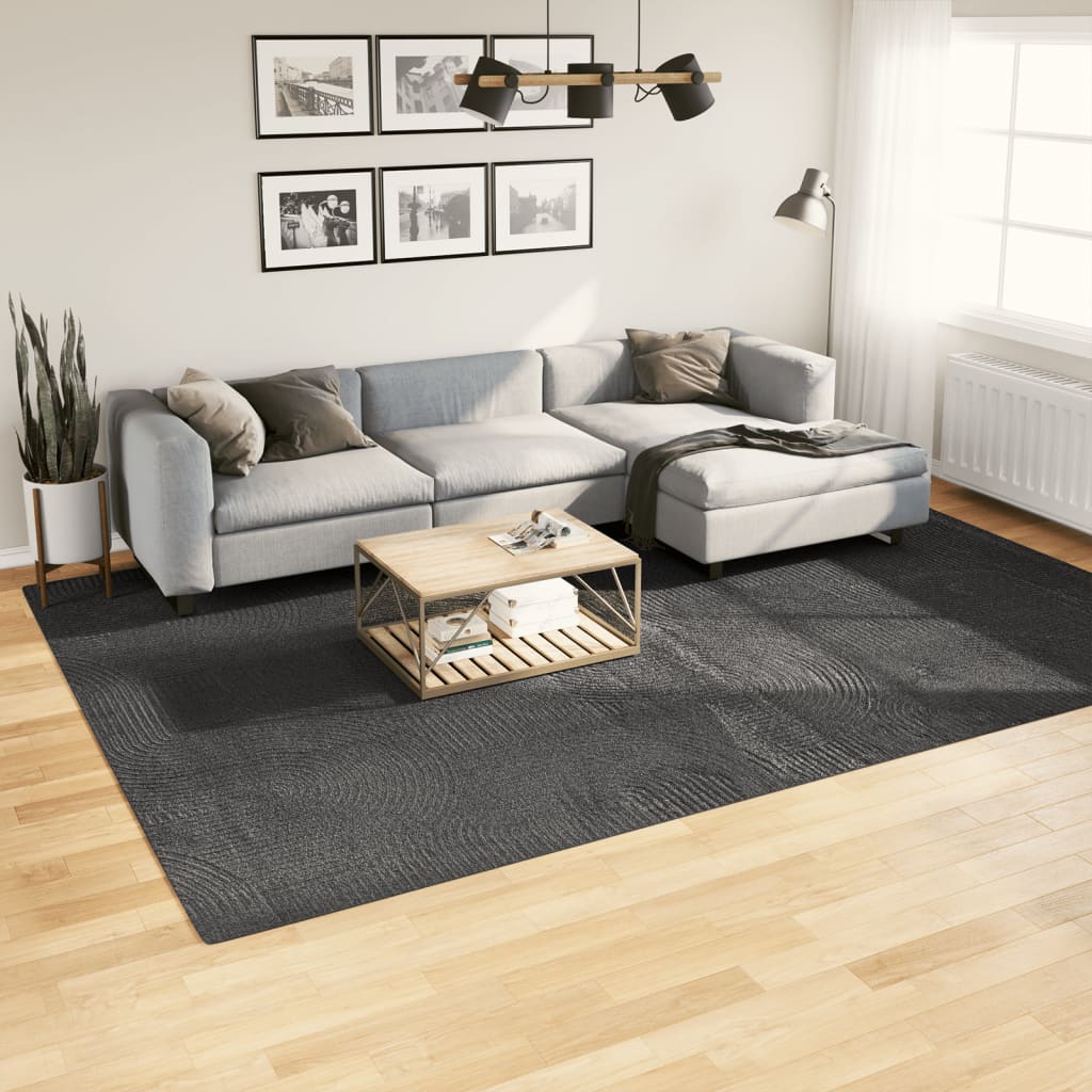 Vidaxl rug iaza niddereg -pile scandinavian 2403440 cm Anthracit