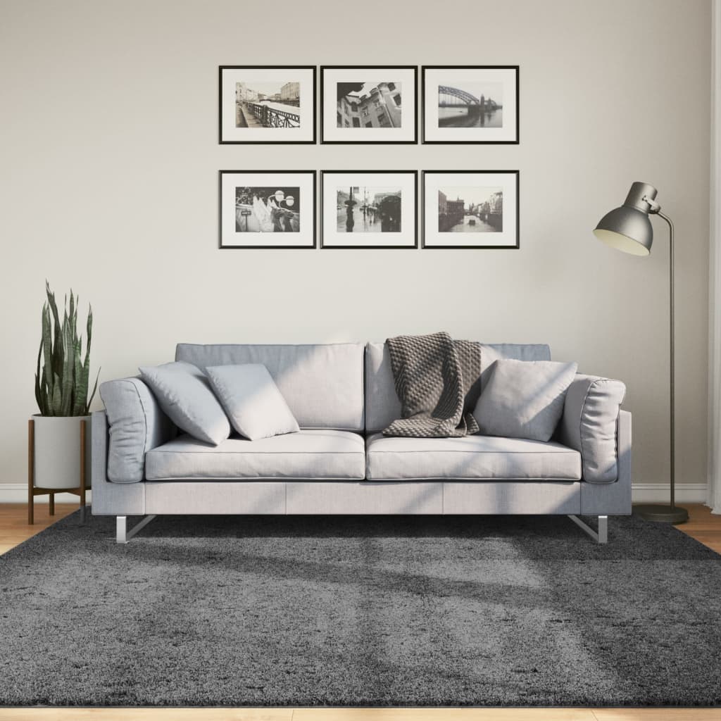 Vidaxx tapis oviedo poils ras 200x200 cm anthracite