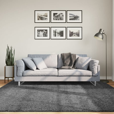VidaXL Tapis OVIEDO poils ras 200x200 cm anthracite