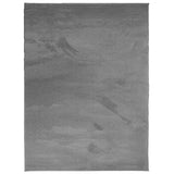 VidaXL Tapis OVIEDO poils ras 240x340 cm anthracite