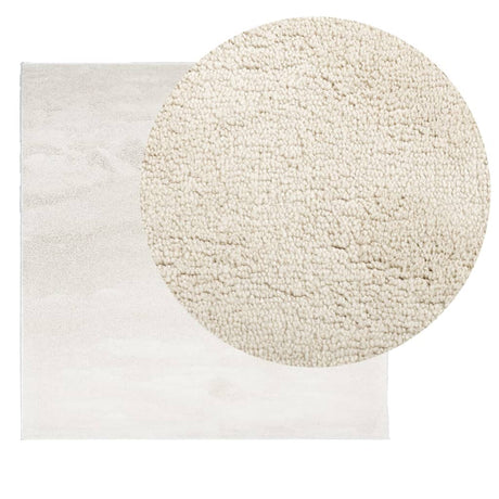 VidaXL Tapis OVIEDO poils ras 120x120 cm beige