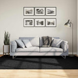 VidaXL tapis oviedo poils ras 160x230 cm noir