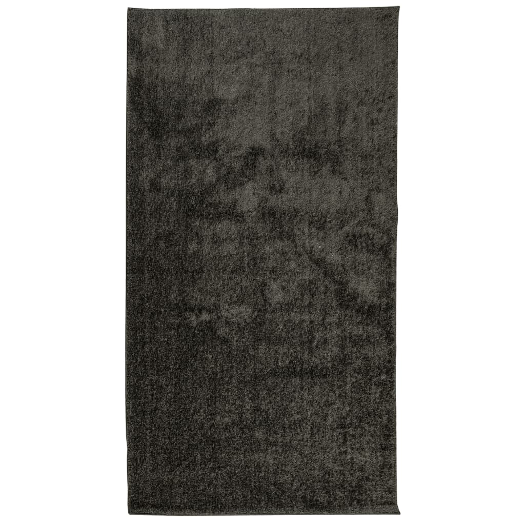 Vidaxl tapis istan poils longs brillant 80x150 cm anthracite