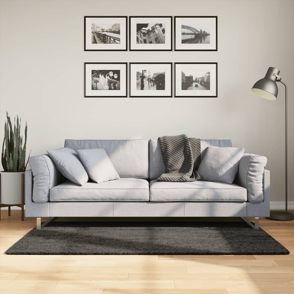 Vidaxl tapis istan poils longs brillant 80x150 cm anthracite