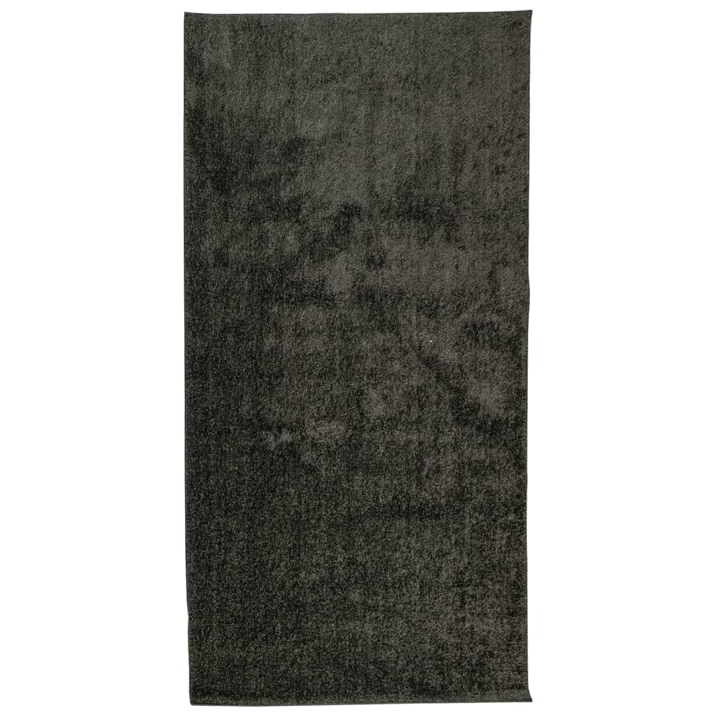 Vidaxx tapis istan poils longs brillant 100x200 cm anthracite