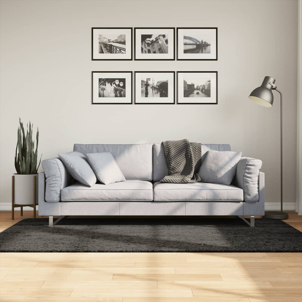 Vidaxx tapis istan poils longs brillant 100x200 cm anthracite