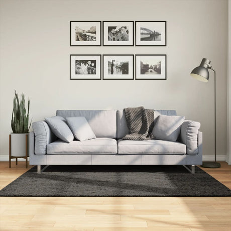Vidaxl tapis istan poils longs brillant 120x170 cm anthracite