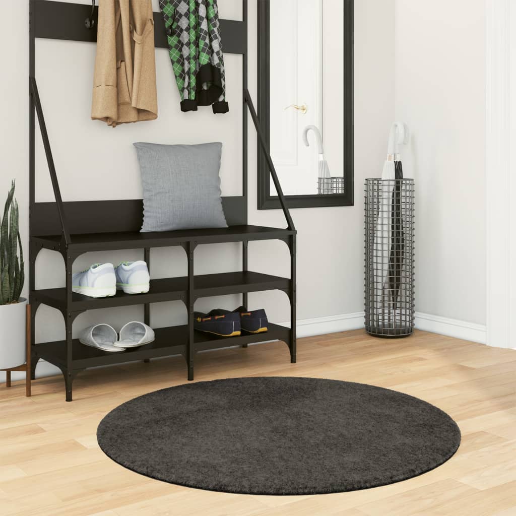 Vidaxl tapis istan poils longs brillant ø 100 cm asthracite