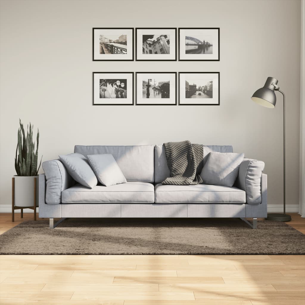 Vidaxx tapis istan poils longs brillant 100x200 cm gris