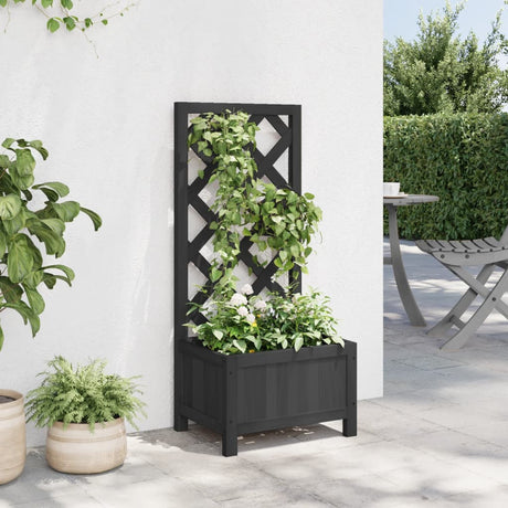 Vidaxx jardinière avec treillis en bois de pin massif noir