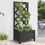Vidaxx jardinière avec treillis en bois de pin massif noir