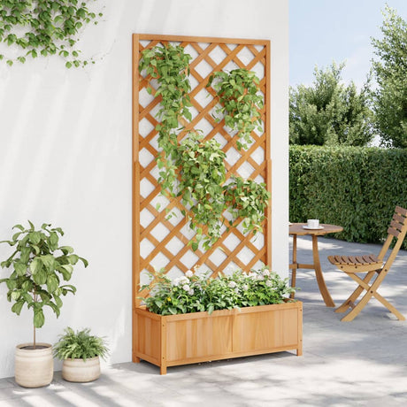 VidaXL jardinière avec treillis, bois de pin massif, marron