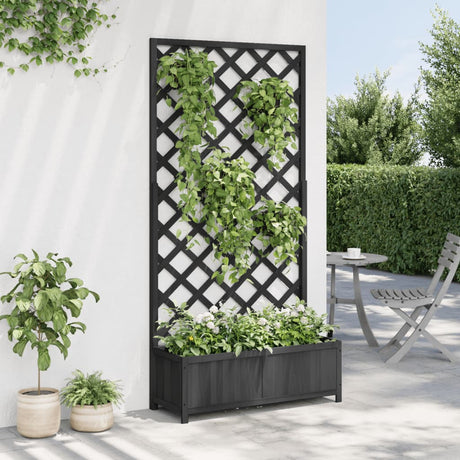 Vidaxx jardinière avec treillis en bois de pin massif noir