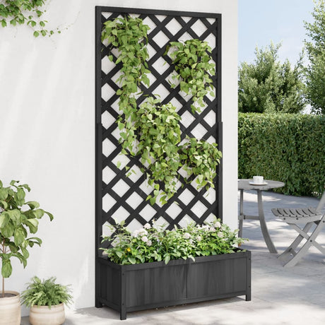 Vidaxx jardinière avec treillis en bois de pin massif noir