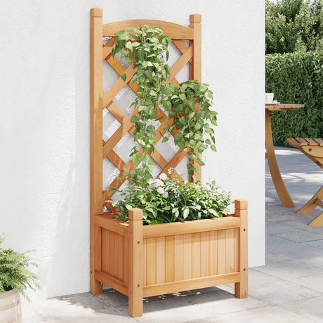 VidaXL jardinière avec treillis, bois de pin massif, marron