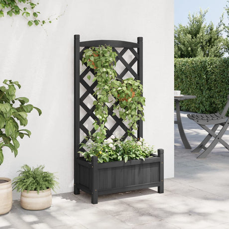 Vidaxx jardinière avec treillis en bois de pin massif noir