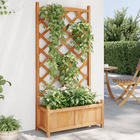 VidaXL jardinière avec treillis, bois de pin massif, marron