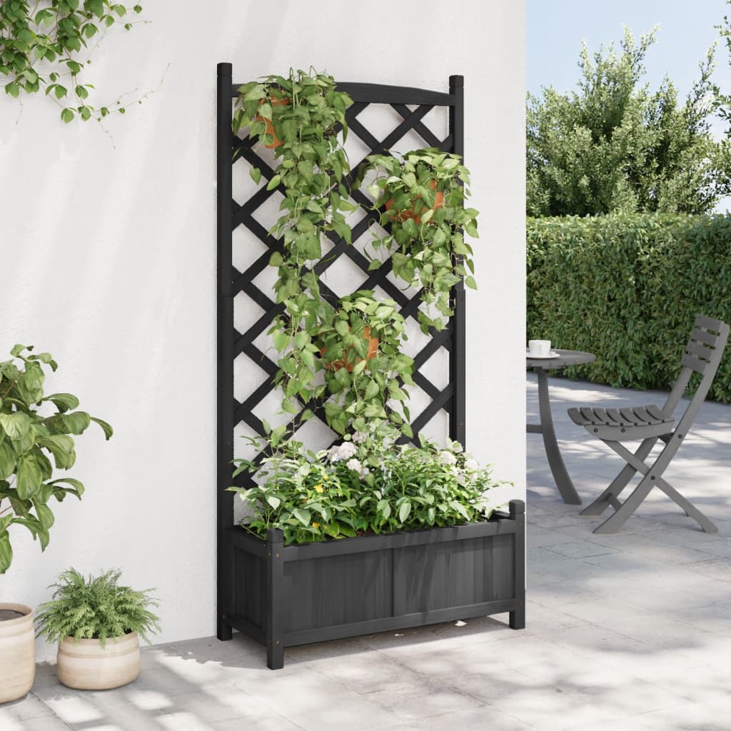 Jardinière vidaxl avec latwerk solide Vurenhout noir