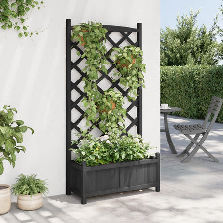 Vidaxx jardinière avec treillis en bois de pin massif noir