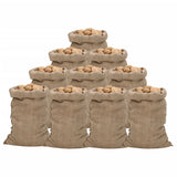 Vidaxl Jute Sacs 10 pièces 340 g m² 60x105 cm 100% jute