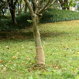 Rouleau de jute VidaXL 200 g m² 0,25x5 m 100% jute