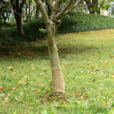 Rouleau de jute VidaXL 200 g m² 0,25x10 m 100% jute