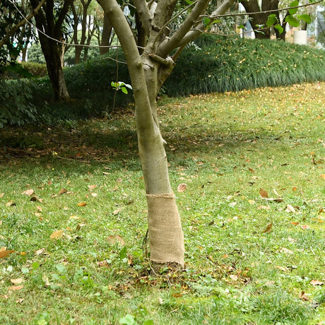 Rouleau de jute VidaXL 200 g m² 0,25x10 m 100% jute