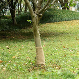 Rouleau de jute VidaXL 200 g m² 0,25x15 m 100% jute