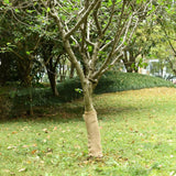 VidaXL Rouleau de jute 200 g m² 0,5x5 m 100% jute