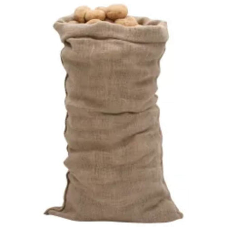 VidaXL Sacs de jute 30 pièces 220 g m² 65x135 cm 100% jute